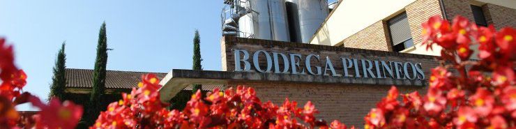 Bodega Pirineos