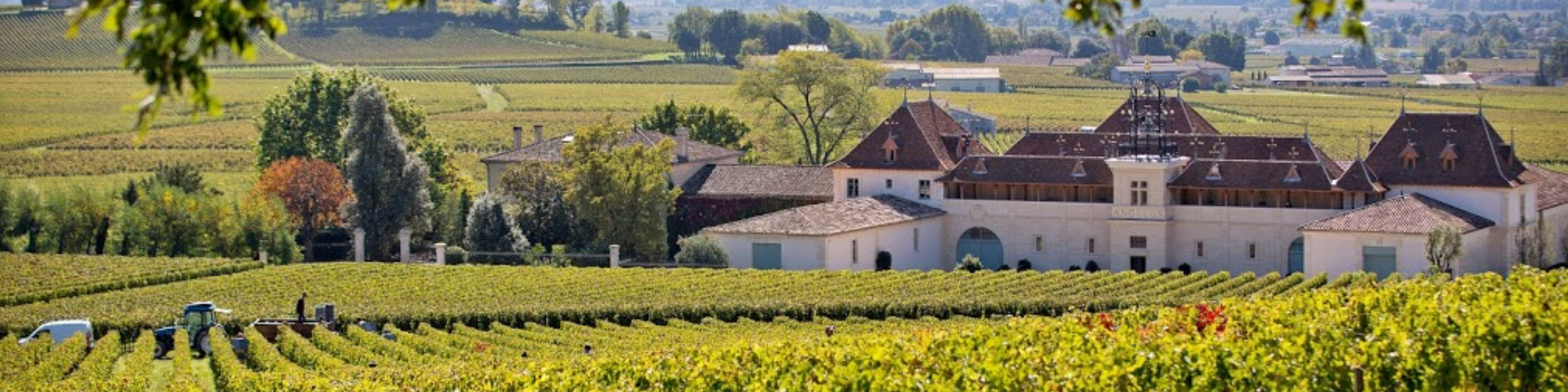 Château Angelus
