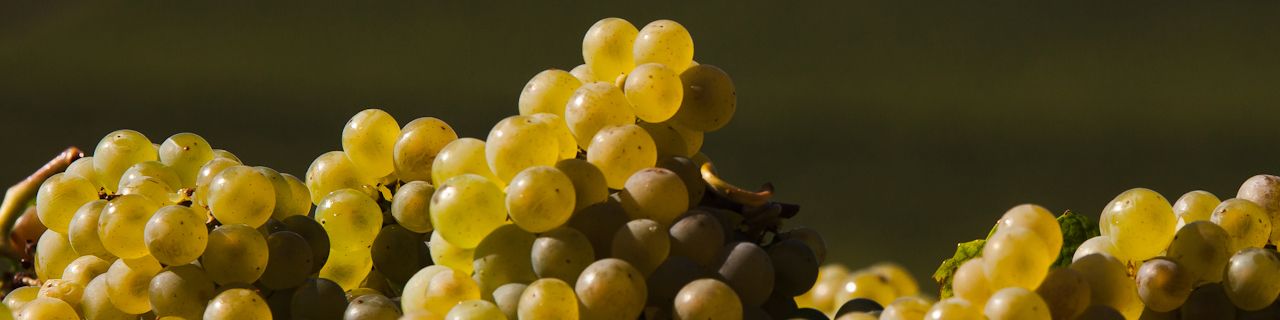 Billaud-Simon