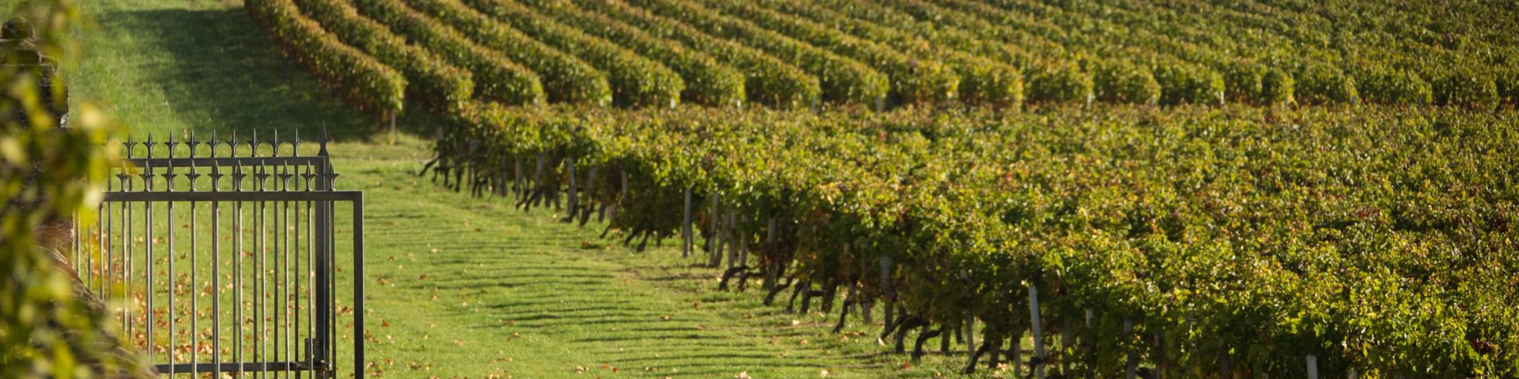 Chateau la Fon du Berger