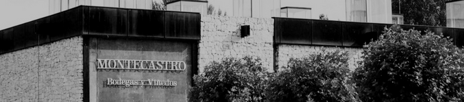 Bodegas Montecastro