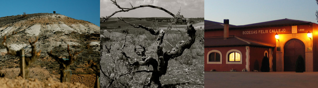 Bodegas Callejo