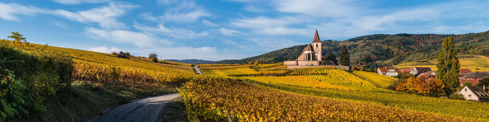 Cave Vinicole Hunawihr