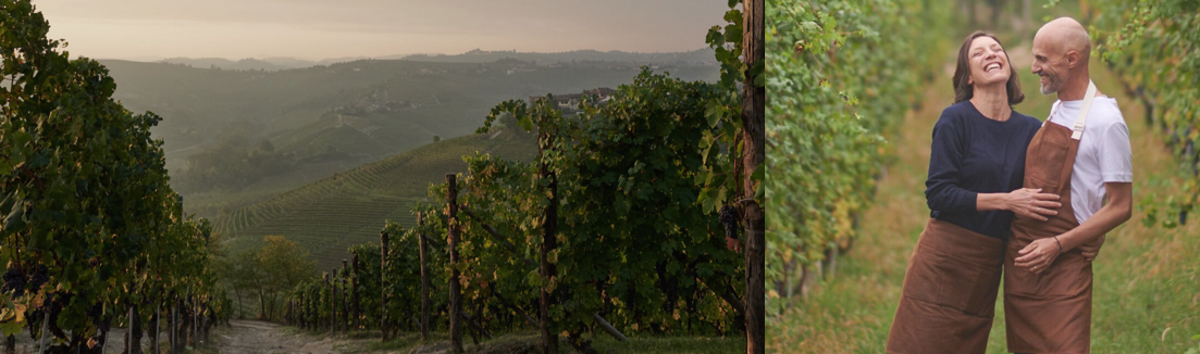 Cantina del Pino
