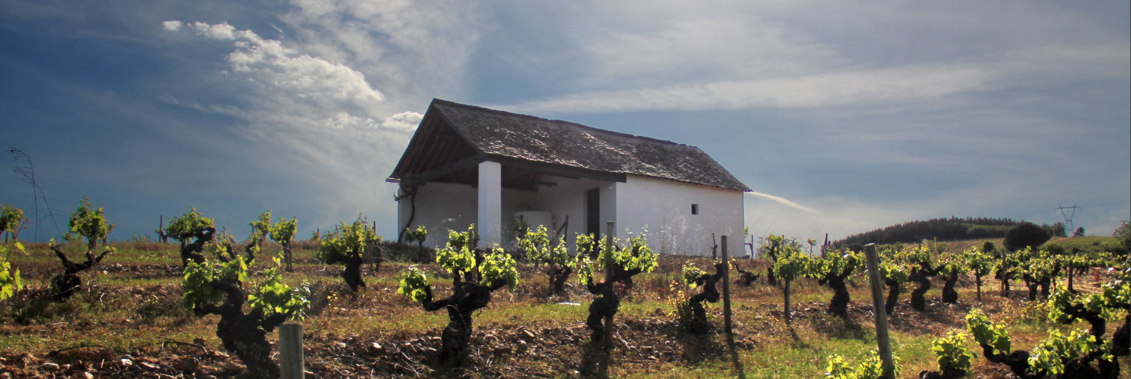 Bodegas Merayo