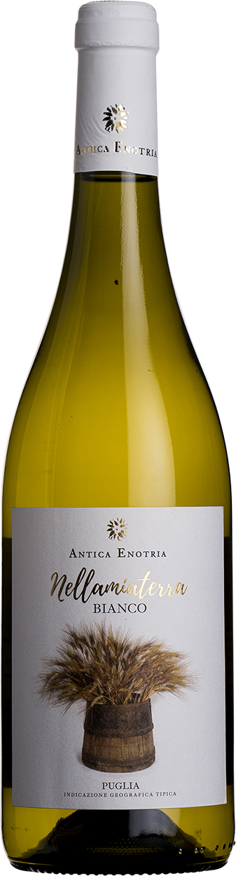 2024 Nellamiaterra, Vino Bianco
