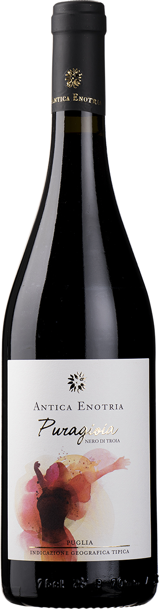 2023 Puragioia, Nero di Troia
