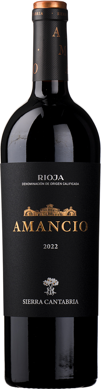 2022 Amancio