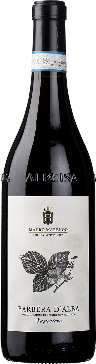 2022 Barbera d'Alba Superiore