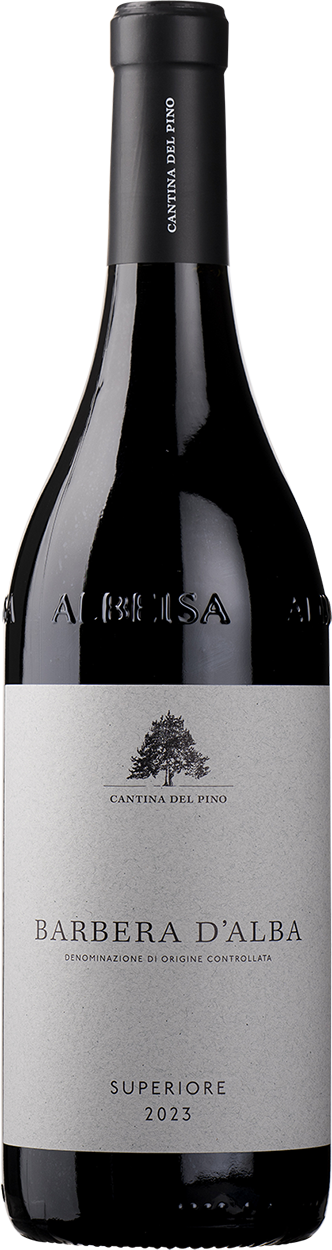 2023 Barbera d'Alba Superiore