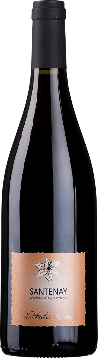 2022 Santenay Rouge