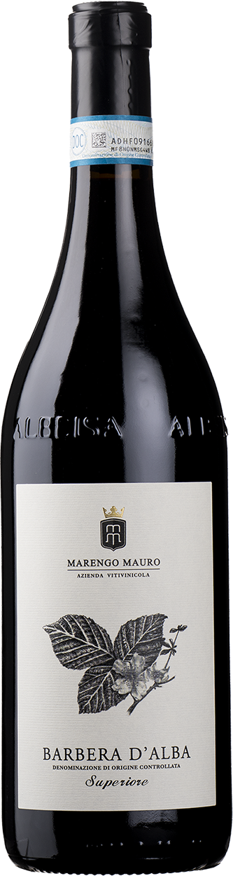 2021 Barbera d'Alba Superiore