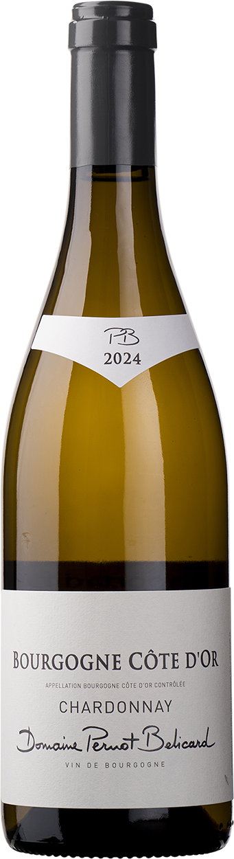 2024 Bourgogne Cote d'Or, Chardonnay