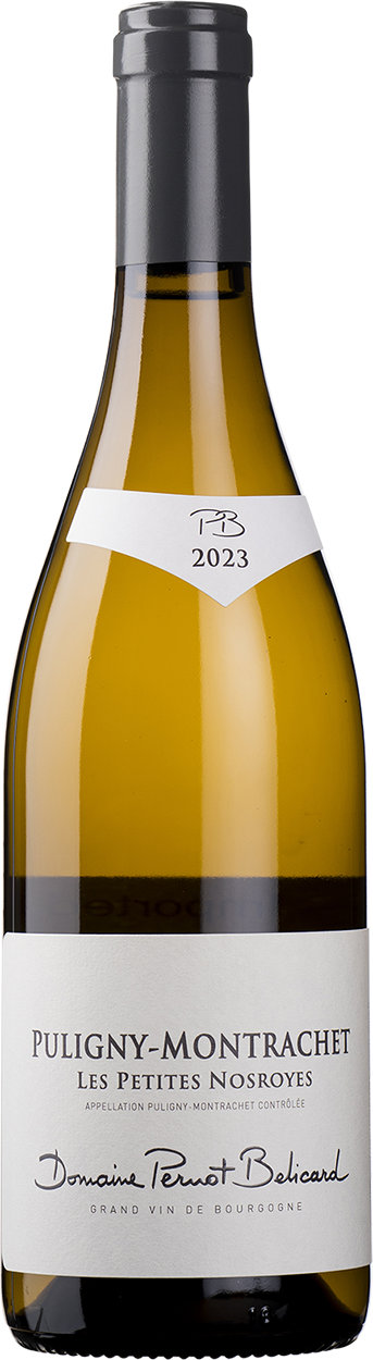 2023 Puligny Montrachet "Les Nosroyes"