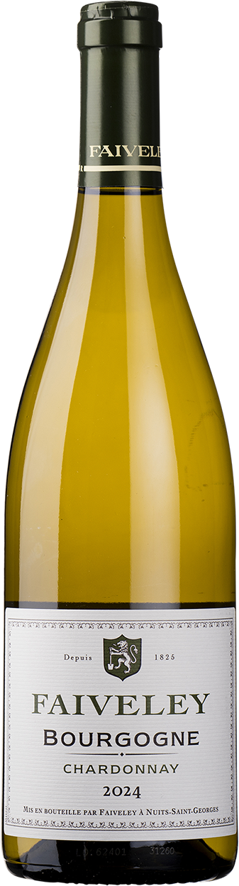 2024 Bourgogne Blanc Chardonnay