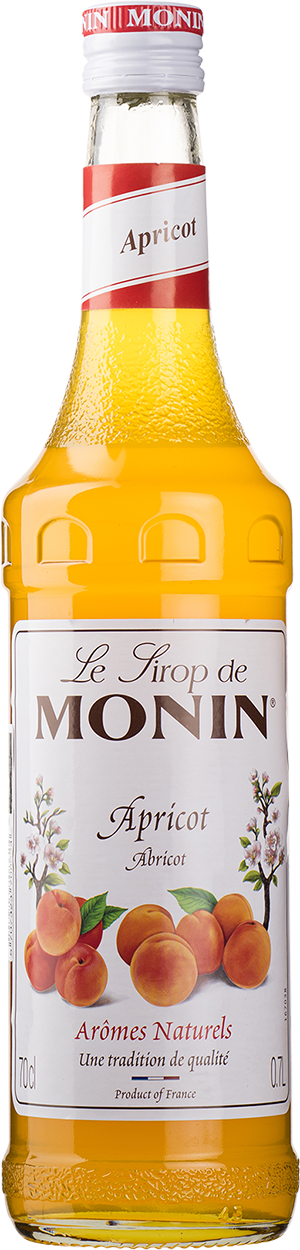 Monin Abrikos