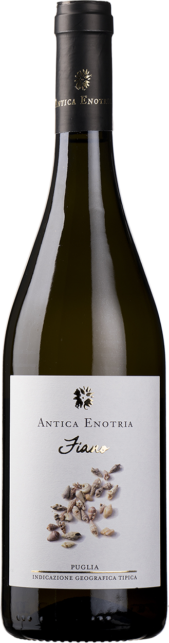 2024 Fiano Vino Bianco