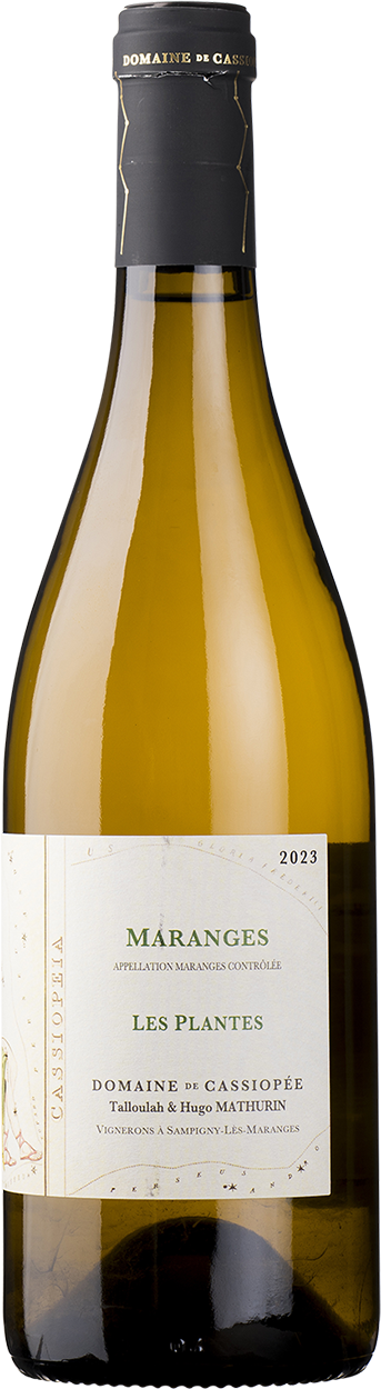 2023 Marange Blanc "Les Plantes"