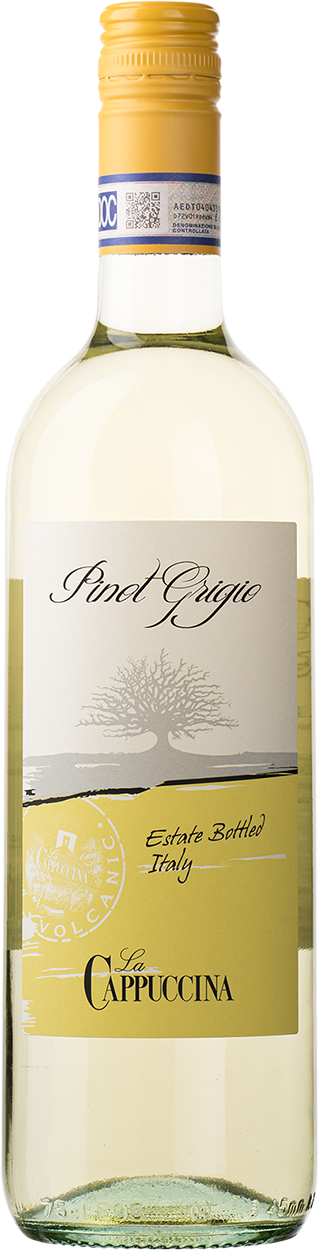 2025 Pinot Grigio
