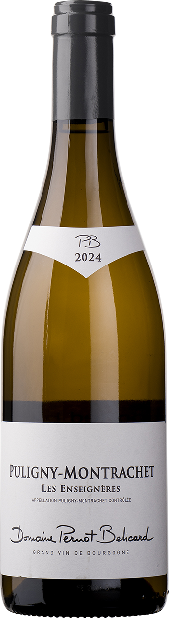 2024 Puligny-Montrachet "Les Enseignères"