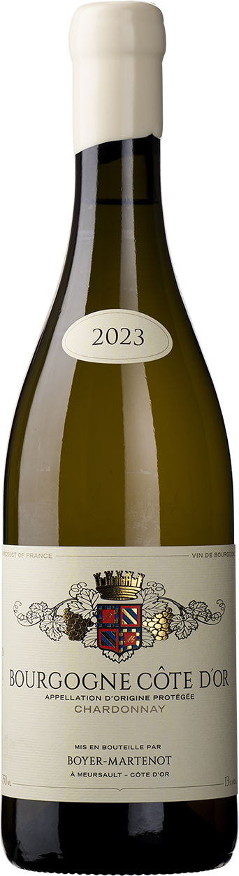 2023 Bourgogne Blanc