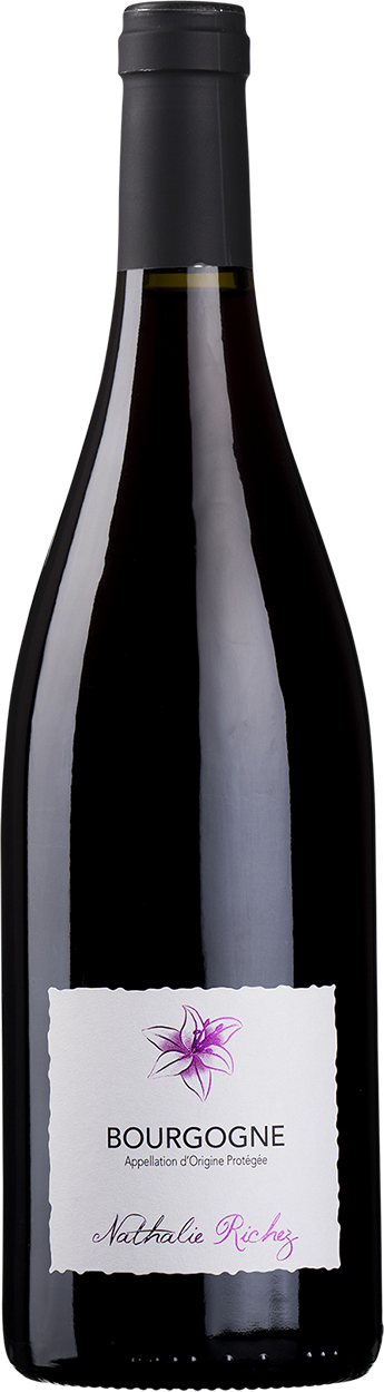 2022 Bourgogne Rouge Côte d'Or
