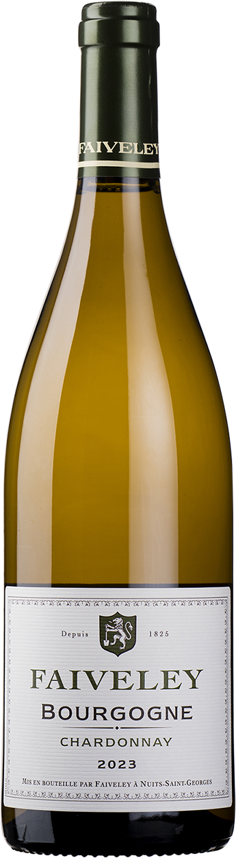 2023 Bourgogne Blanc Chardonnay
