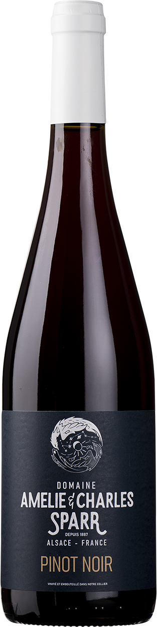 2024 Pinot Noir "Carpe Diem"