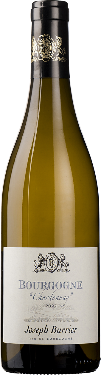 2023 Bourgogne Chardonnay