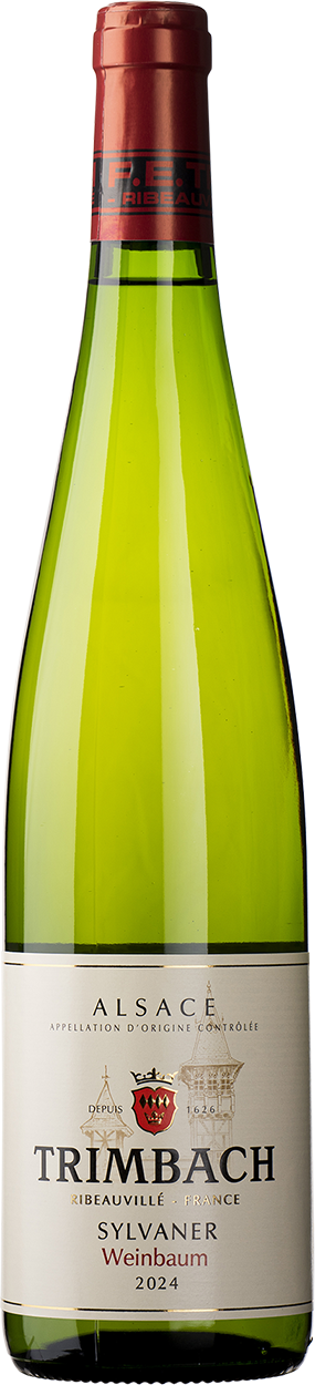 2024 Sylvaner