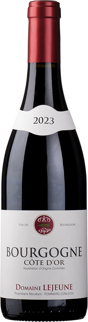 2023 Bourgogne Pinot Noir Cote d'Or