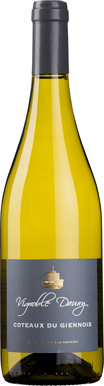 2022 Coteaux du Giennois Blanc