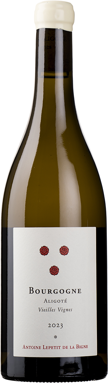2023 Bourgogne Aligoté Vieilles Vignes