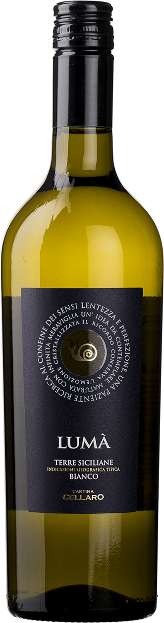 2025 Luma Bianco