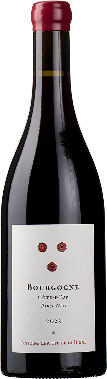 2023 Bourgogne Pinot Noir Côte d'Or