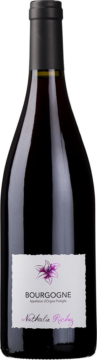 2023 Bourgogne Rouge Côte d'Or