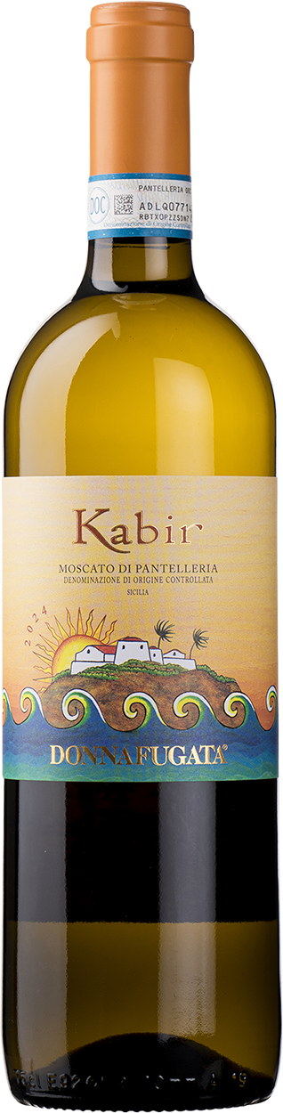 2024 Kabir Moscato