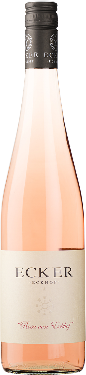 2025 Rosa von Eckhof Rose