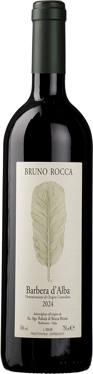 2024 Barbera d'Alba