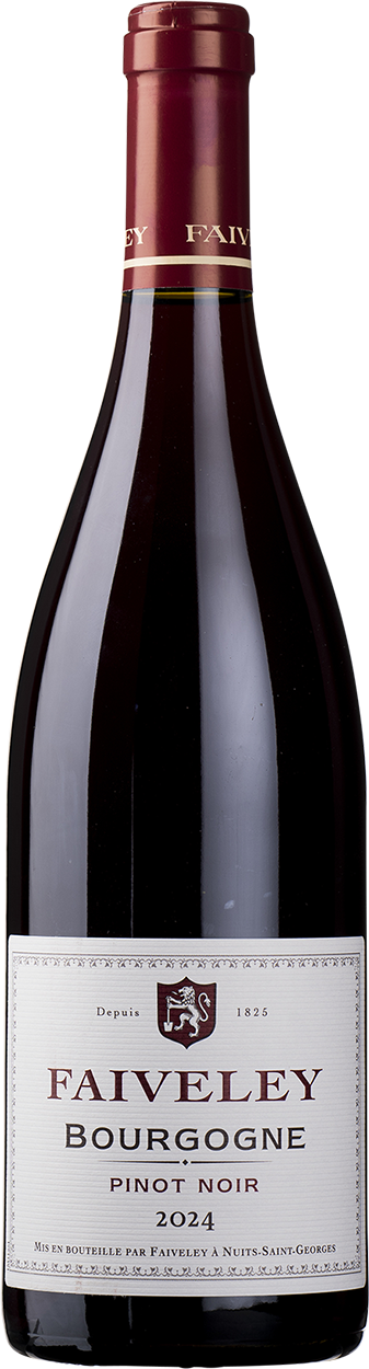 2024 Bourgogne Rouge Pinot Noir