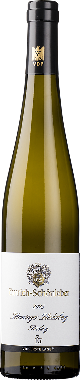 2023 Niederberg Monzinger Riesling Trocken