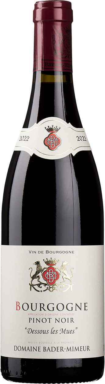 2023 Bourgogne Pinot Noir, Dessous les Mues