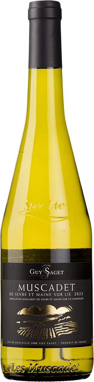 2023 Muscadet Sèvre et Maine sur Lie