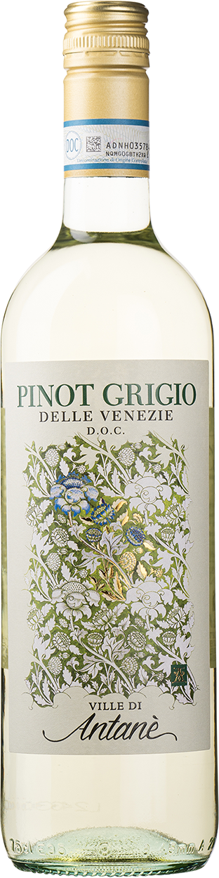 2024 Pinot Grigio