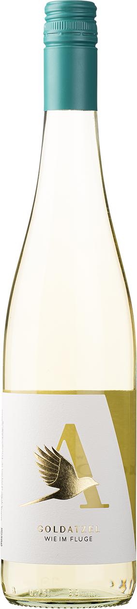 2025 Riesling Feinherb Wie Im Fluge