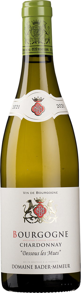 2021 Bourgogne Chardonnay "Dessous les Mues"