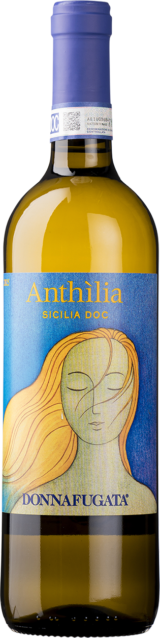 2025 Anthilia Bianco