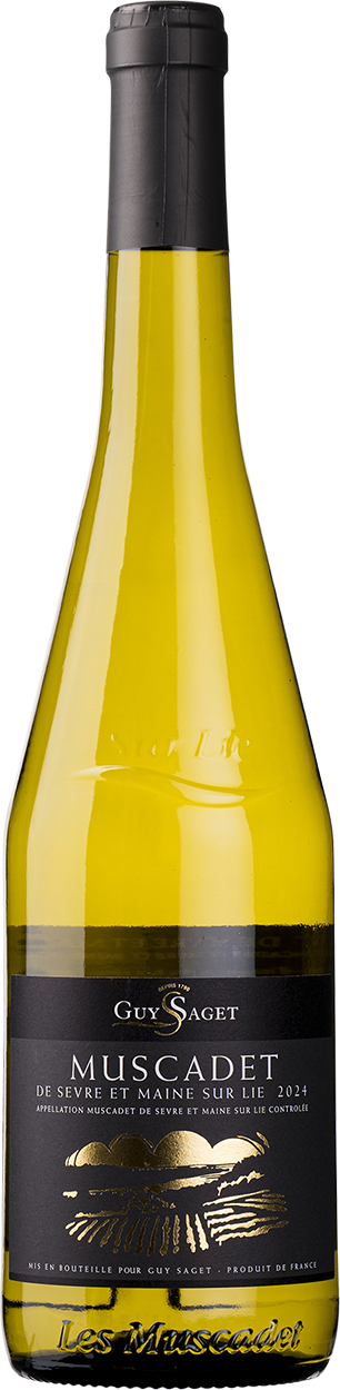 2024 Muscadet Sèvre et Maine sur Lie