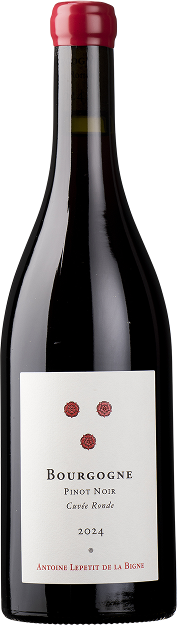2024 Bourgogne Pinot Noir Cuvee Ronde