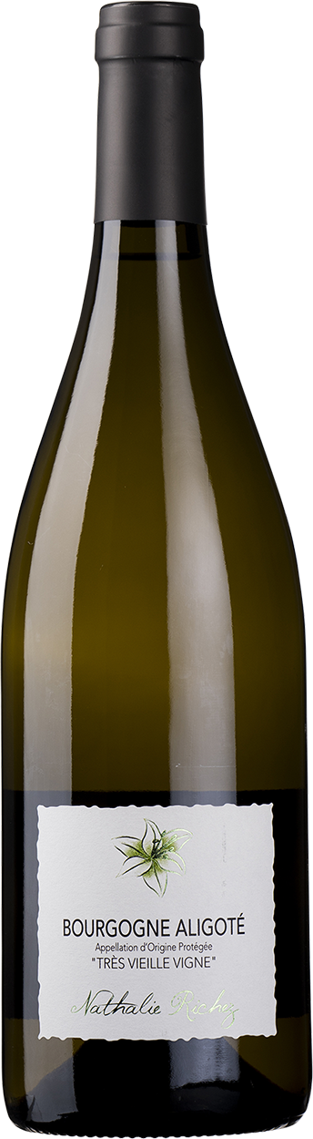 2023 Bourgogne Aligoté